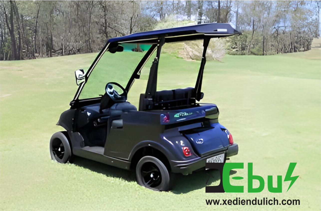 XE ĐIỆN CHO NGƯỜI GIÀ